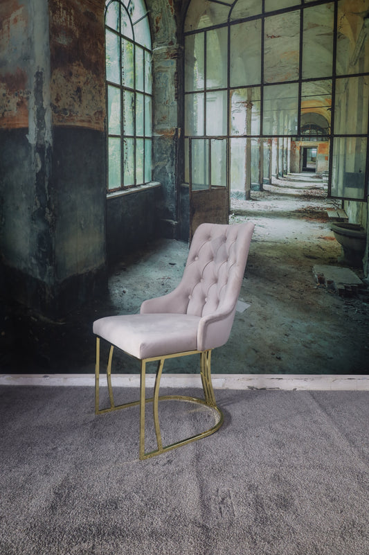 Esszimmerstuhl Stuhl +mehrere Farben wählbar +Samtstoff