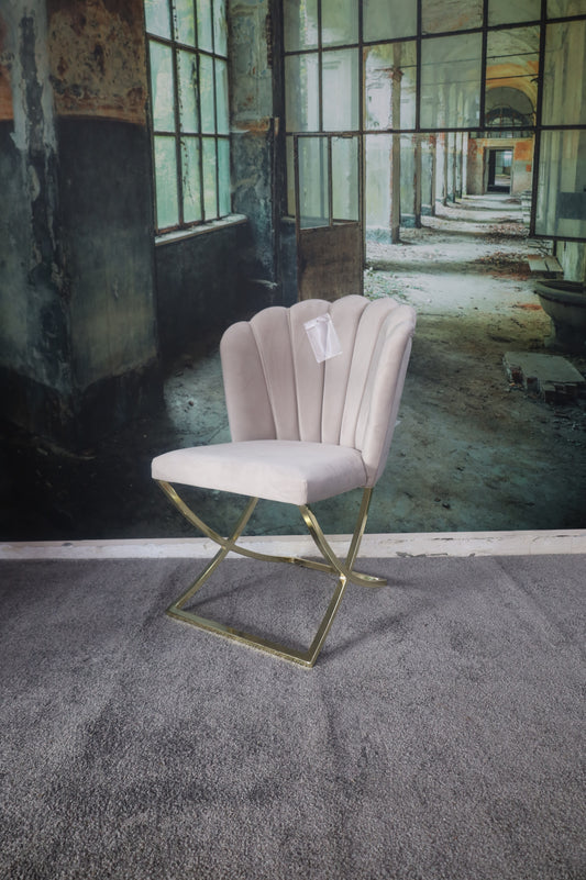 Esszimmerstuhl Stuhl +Samtstoff +Gestell Gold oder Chrom +2 Farben