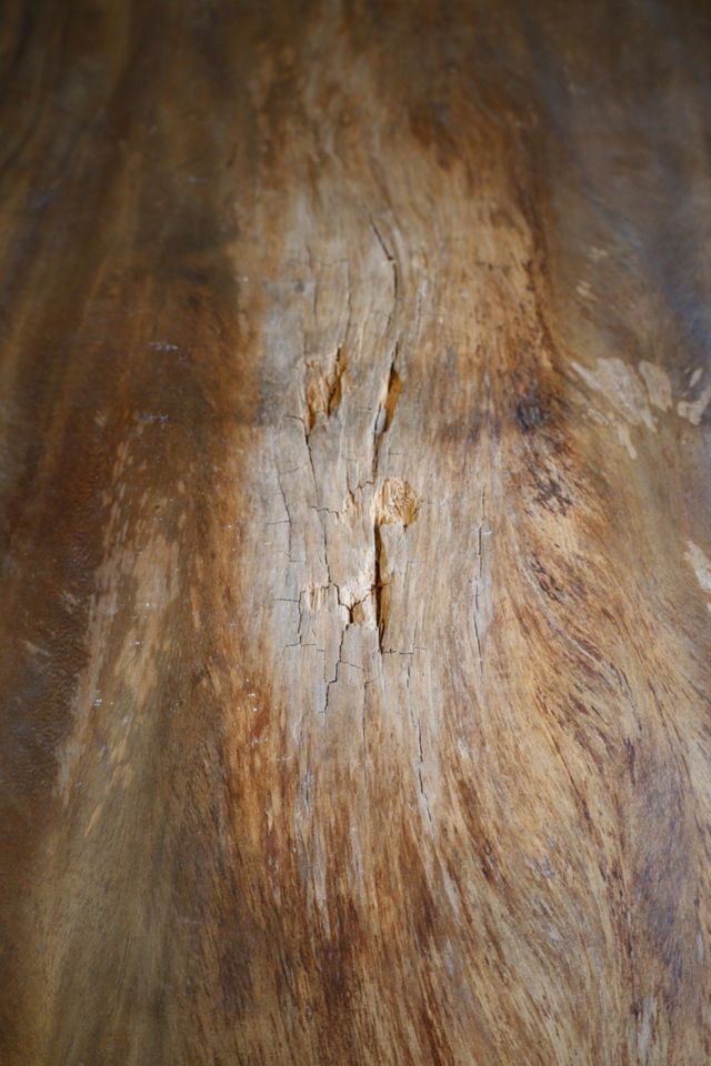 Esstisch Massivholz + Baumscheibe 9cm stark + EINZELSTÜCK